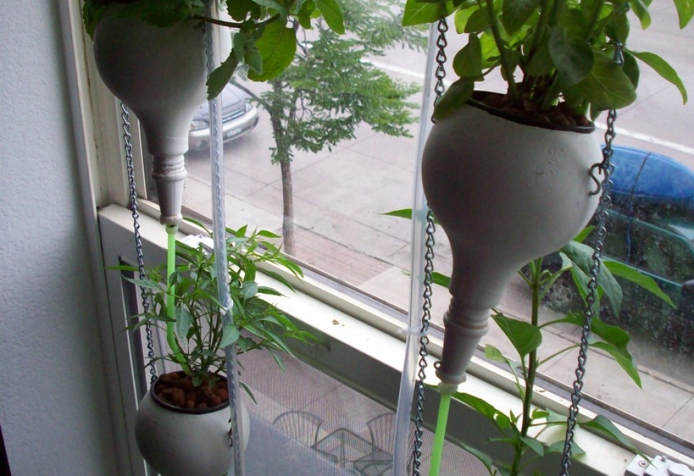 Hidrokultúra az ablakban: kertészkedj vertikálisan!