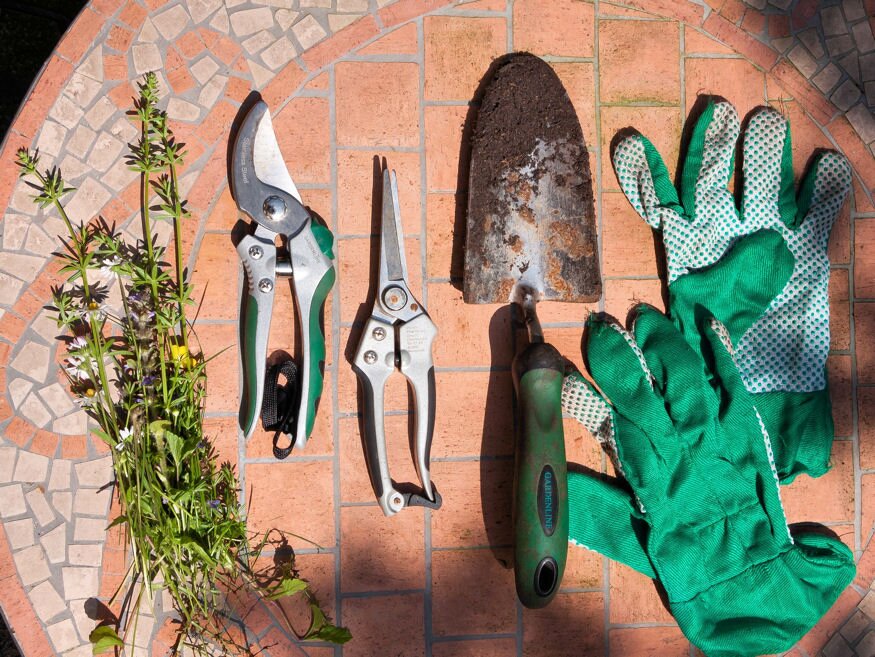 6 gyakori hiba, amit a kertészkedők elkövetnek