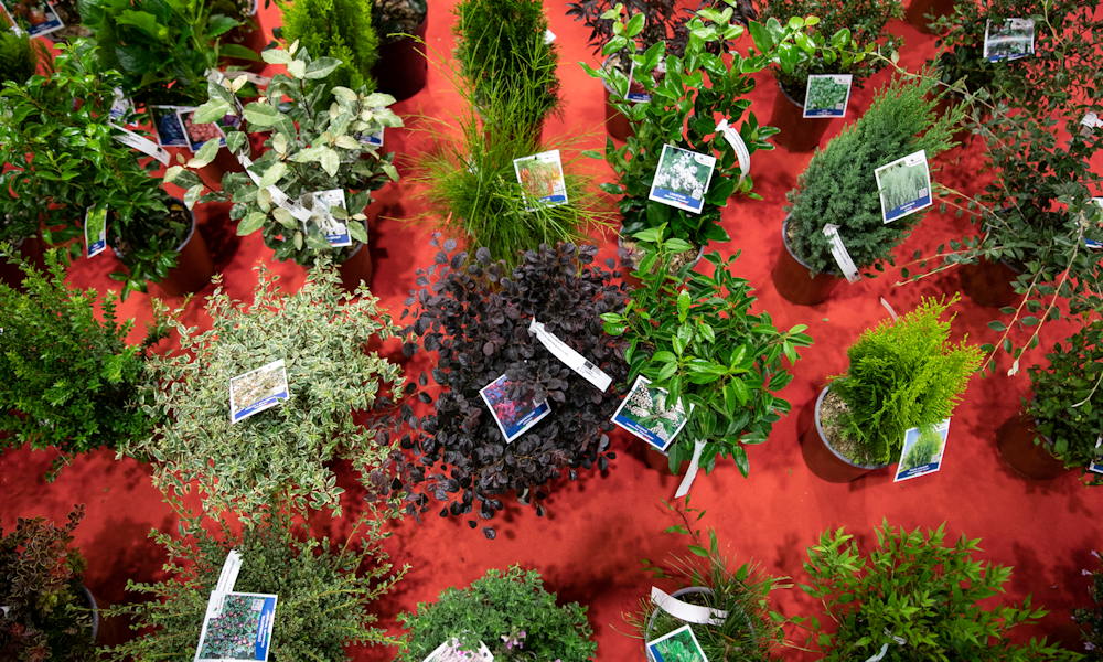 Flormart 2023: Olaszország legnagyobb kertészeti kiállítása