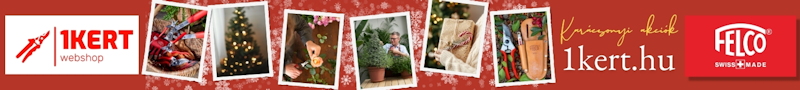 banner 1kert 2025 karacsony 800x90 01
