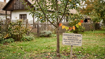 Egy almafa elég? Ezt jelenti valójában az öntermékeny és a porzófajta
