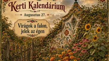Augusztus 27. Virágok a falon, jelek az égen: amikor a kert kiköltözik a házra