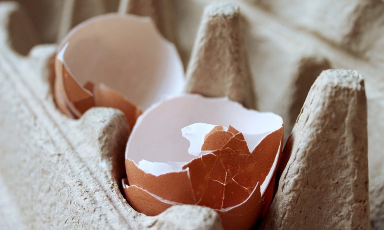 Van értelme tojáshéjból szobanövényeknek tápoldatot készíteni?