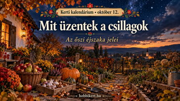Október 12. Mit üzentek a csillagok az őszi éjszakában?