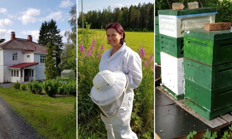 Méhek a kertben: egy követendő példa Finnországból