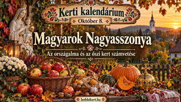 Október 8. Magyarok Nagyasszonya, az országalma és az őszi kert számvetése