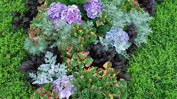 A sírra ültethető leggyakoribb növények gondozása – élő emlékezés minden évszakban