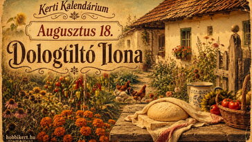 Augusztus 18. Dologtiltó Ilona: amikor néha az a legjobb kerti munka, amit nem végzünk el
