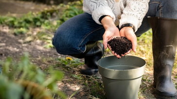 Így készíts saját komposztteát – természetes növénytáp a kertedből