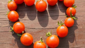 Vérnyomáscsökkentő zöldségek: szívbarát patika a kertben