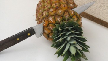 Hawaii van? Nevelj cserépben ananászt!