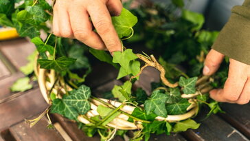 Girlandok, koszorúk, ágak: hogyan buknak meg a kertészek a 