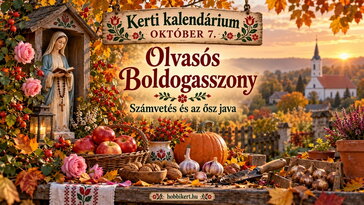 Október 7. Olvasós Boldogasszony, számvetés és az ősz java