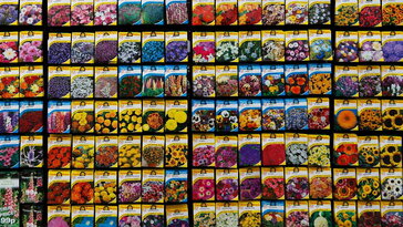 Vetőmagok, amik most is foglalkoztatnak – mire jó a téli átnézés?