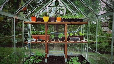 Üvegházi kertészkedés – egy új hobbi ötlete