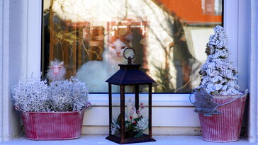 Mit hagyjunk magunk mögött a kertben az óévvel együtt?