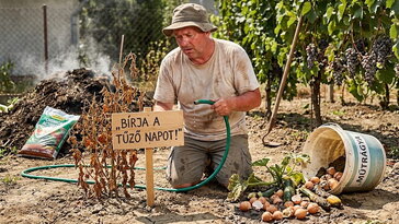 „Bírja a tűző napot!” – kerti tanácsok, amelyeket jobb lett volna soha meg nem fogadni
