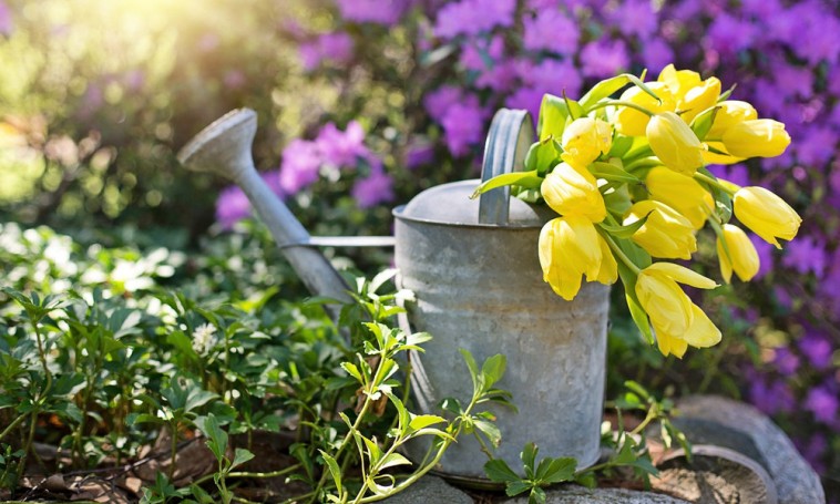 Feltöltődés a szabadban: a kerti munka mint természetes örömforrás