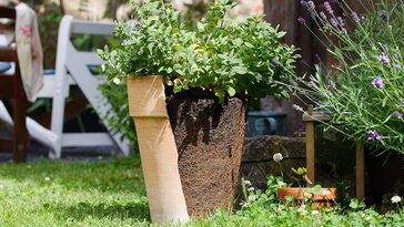 2e72f5746a0c63ac388e10dade9ecdf6 W364 H205 Cp