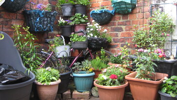 Fagyok jönnek! – Kerti pánikgomb a valóságban