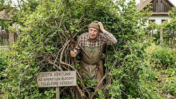 Josta metszése: a fél ország termeszt valamit, amiről a másik fele azt sem tudja, micsoda