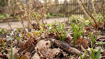 Nem minden száraz levél szemét: mit hagyj még békén tavasszal a biodiverzitás miatt?