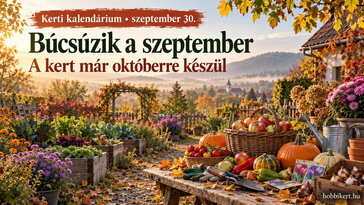 Szeptember 30. Búcsúzik a szeptember, a kert már októberre készül