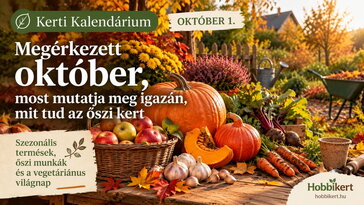 Október 1. Megérkezett október, most mutatja meg igazán, mit tud az őszi kert
