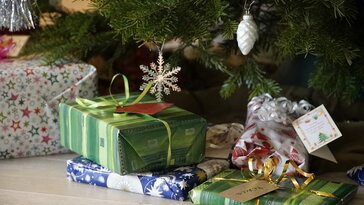 Növekvő tűlevélhegyek, fogyatkozó türelem – hogyan éljük túl az ünnepi fenyőtartást?