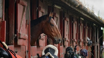 December 17. – Lázár napja, amikor a tél a karácsony utáni arcát mutatta meg