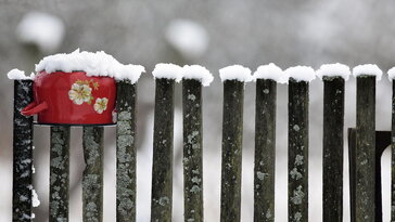 Régen mit csináltak télen a kertészek? – Amikor a kert nem termelt, hanem tanított