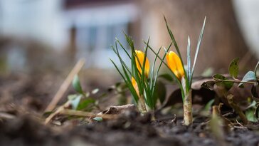 Ha nem fagyos az idő: kerti munkák, amelyeknek már február második felében nekiláthatsz