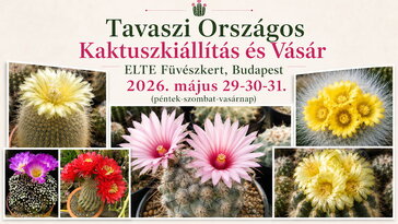 Tüskés szépségek a Füvészkertben: Tavaszi Országos Kaktuszkiállítás és Vásár 2026. május 29–31. között