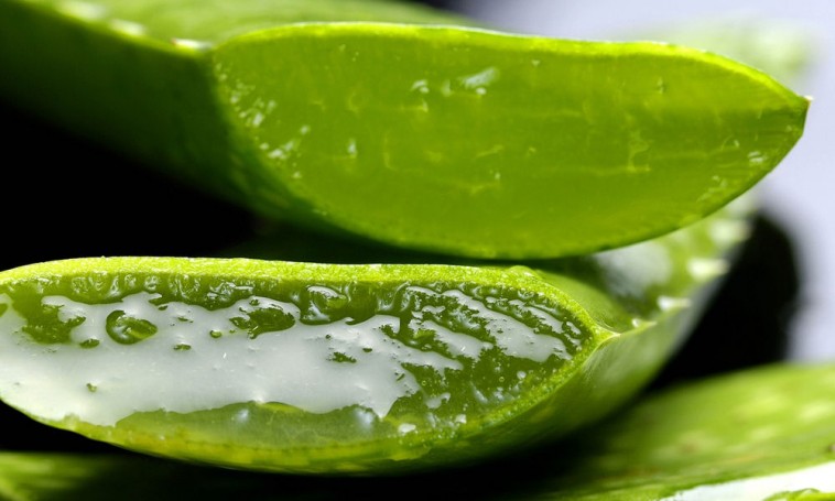 Az Aloe vera egészségre gyakorolt nyolcféle jótékony hatása