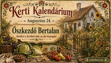 Augusztus 24. Őszkezdő Bertalan: amikor a kertben már az ősz kopogtat