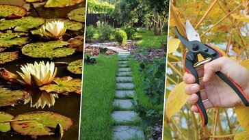 A metszéstől a mohák eltávolításáig: ősszel és télen is akad tennivaló a kertben