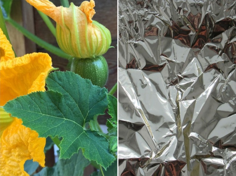 Mire használhatja egy kertész az alufóliát? 6 remek ötlet!