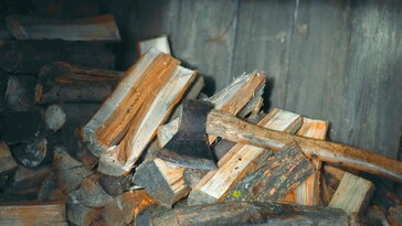 November 22. – Szent Cecília napja: amikor a tél és a dallam találkozik