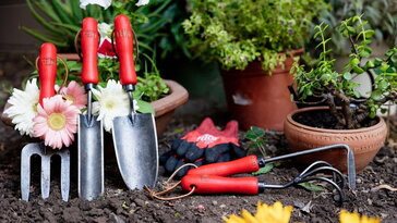 Kezünkben a svájci precizitás: így dolgoznak a FELCO prémium kerti szerszámai