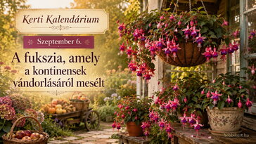 Szeptember 6. A fukszia, amely a kontinensek vándorlásáról mesélt