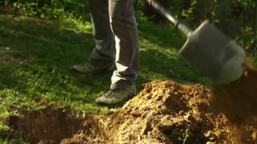 Hogyan javítsd a kert talaját? Néhány ötlet a hobbikert.hu videójában