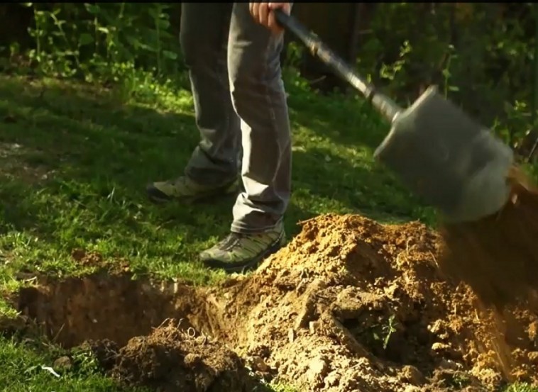 Hogyan javítsd a kert talaját? Néhány ötlet a hobbikert.hu videójában