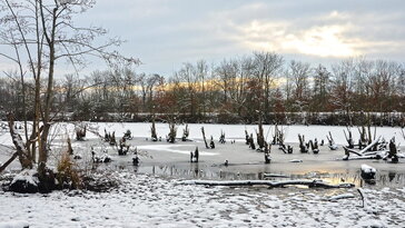 November 23. – Szent Kelemen napja: amikor a víz jósnak áll