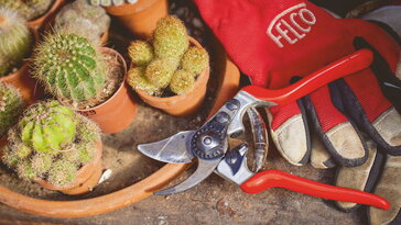 A kerti szerszámok titkos pihenőideje – mikor mit érdemes átnézni?