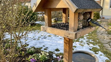 Madáritatók és etetők február végén – mikor engedjük el a téli menüt?