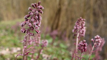 756a919aa3b0f22809dde3f3b75ae3ec W364 H205 Cp