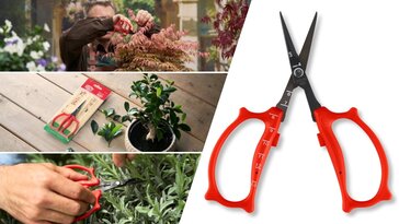Bemutatkozik a FELCO 420 fűszer-, bonsai- és virágolló: tökéletes választás a finom, pontos vágásokat igénylő munkákhoz!