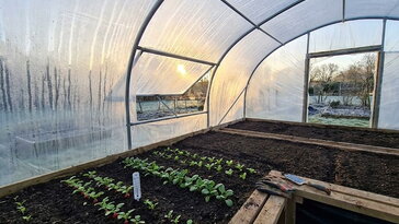 Fólia alatt induló szezon – tényleg előrébb járunk február végén?