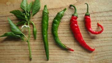 chili paprika közös kezelés
