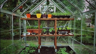 Üvegházi kertészkedés – egy új hobbi ötlete